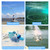 Fishing Net for Bait Trap Fish, Throw Nets with Zinc