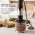 MEGAWISE HB-2062B 5-in-1 Hand Immersion Blender Set