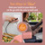 Bentgo Heat - Electric Lunch Box - Portable Food Warmer for Adults