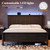 Queen Size Bed Frame with Tall Headboard, Mid Century Modern Wood Platform Bed with Charging Ports and LED Lights, Solid Wood Slat Support