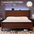 Queen Size Bed Frame with Tall Headboard, Mid Century Modern Wood Platform Bed with Charging Ports and LED Lights