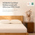 FLEXISPOT Hako G2 Japanese Joinery Bed Frame, Solid Rubberwood Queen Platform Bed with Storage Headboard, IAS&SGS Certified