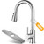 Kitchen Sink Faucet with Pull Down Sprayer with Deck Plate, Brushed Nickel High ArcFaucet