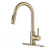 Gold Kitchen Faucets with Pull Down Sprayer, Single Handle