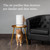 Molekule Air Purifier Mini+ - Purifies Rooms Up to 250 Sq Ft - Smart Purifier with High Pollutant Capture Rate