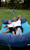 Hammock - 1 to 2 Person Backyard Hammock - Outdoor Patio