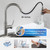 Arofa Kitchen Faucet with Pull Down Sprayer