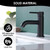 Single Handle Black Bathroom Faucet with Metal Drain Assembly and Escutcheon
