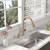 Lava Odoro Champagne Gold Kitchen Faucet with Pull Down Sprayer