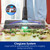 Tineco Pure ONE S50 Pro Cordless Vacuum, 150AW Suction, 95Min Runtime, Anti-Tangle Brush, 120° Green Light