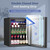 Feelfunn 1.7 Cu.Ft Beverage Refrigerator Cooler