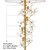 Modern Glam Luxury 71 1/2" Tall Standing Floor Lamp Large 8-Light Crystal Spray LED Dimmable Metal Soft Gold Finish Living Room Bedroom