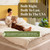 COTTON SLEEP All Natural 11" Mattress (100% Organic Cotton, & Wool, Made in The USA) Non Toxic, Fiberglass Free Hybrid Pocket Coil and Plush Foam Bed in A Box (Firmness: Medium) Twin XL