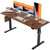 Agilestic Electric Standing Desk, 60 x 24 Inches Height Adjustable Desk, Sit Stand up for Work Office Home, Ergonomic Rising Computer Table with Memory Preset, Dark Walnut
