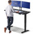 Desktronic HomePro Standing Desk 54x28 — Made in Europe, Ergonomic Sit Stand Home Office Desk, Electric Height Adjustable, Dual Motor, USB & USB-C Charging, Wobble-Free, Touchscreen, 3 Memory Presets