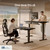 Desktronic HomePro Standing Desk 54x28 — Made in Europe, Ergonomic Sit Stand Home Office Desk, Electric Height Adjustable, Dual Motor, USB & USB-C Charging, Wobble-Free, Touchscreen, 3 Memory Presets