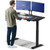 Desktronic HomeOne Standing Desk 54x28 — Ergonomic Sit Stand Home Office Desk, Made in Europe, Electric Dual Motor Height Adjustable, USB & USB-C Charging, Wobble-Free, Touchscreen, 3 Memory Presets