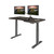 Vari Ergo 54x26 Electric Standing Desk – Height Adjustable Sit Stand VariDesk + Curved Waterfall Edge, 4 Memory Settings, Quick Assembly, Cable Management, 200 lb Capacity – Espresso (2 Boxes)