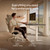 Desktronic HomeOne Standing Desk 60x30 — Ergonomic Sit Stand Home Office Desk, Made in Europe, Electric Dual Motor Height Adjustable, USB & USB-C Charging, Wobble-Free, Touchscreen, 3 Memory Presets