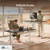 Desktronic HomeOne Standing Desk 60x30 — Ergonomic Sit Stand Home Office Desk, Made in Europe, Electric Dual Motor Height Adjustable, USB & USB-C Charging, Wobble-Free, Touchscreen, 3 Memory Presets