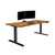 Vari Classic Electric Standing Desk - VariDesk Height Adjustable Sit/Stand Desk - Dual Motor with Memory Presets, Stable Legs - Gaming, Home Office Workstation - 72x30 (Butcher Block/Slate Legs)