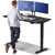 Desktronic HomePro Standing Desk 60x30 — Made in Europe, Ergonomic Sit Stand Home Office Desk, Electric Height Adjustable, Dual Motor, USB & USB-C Charging, Wobble-Free, Touchscreen, 3 Memory Presets