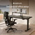 Desktronic HomePro Standing Desk 60x30 — Made in Europe, Ergonomic Sit Stand Home Office Desk, Electric Height Adjustable, Dual Motor, USB & USB-C Charging, Wobble-Free, Touchscreen, 3 Memory Presets