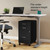 STAPLES Vertical File Cabinet for Letter/Legal Files, 3-Drawer, Letter/Legal Compatible, Locking, Black