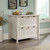 Sauder Costa 2 Drawer Lateral File Cabinet with Lock for Home Office, in Chalked Chestnut