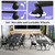 Lrxmastery Folding Conference Table with Wheels, Modular Conference Room Table with 2 Cable Grommet, Mobile Flip-Top Training Meeting Room Tables for Office Classroom (6, Black-C, 47.2in)