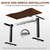 Solid Wood Electric Standing Desk 47.2"x23.6"Home Office Desk,Adjustable Workbench with 3 Stages Single Motor, Computer Workstation with T-Shaped Metal Bracket,Walnut Standing Table for Gaming(1 Box)