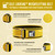 Element 26 Self-Locking Weight Lifting Belt - Premium Weightlifting Belt for Serious Functional Fitness, Weightlifting, and Olympic Lifting Athletes - Squat, Deadlift for Men & Women (X-Small, Yellow)