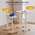 HitGo Home Office Fitness Bundle: Under Desk Exercise Bike Chair & Height Adjustable Mobile Standing Desk, 330LBS Capacity, 8-Level Resistance, Pneumatic Sit Stand Desk with Wheels for Home Office
