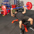 RitFit Elite 7ft Olympic Barbell, Robust 45lb Barbell for Weightlifting and Powerlifting, Superior Olympic Bar with Exceptional 500lbs Load Capacity, Weight Bar for 2” Standard Plates Sliver/Blue