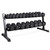 CAP 550 LB Dumbbell Set with 2-Tier Rack, Rubber Hex Weights Dumbbells Set, Home Gym Weight Set for Strength Training, Chrome Handle