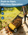 GarveeLife Push Lawn Sweeper, 26 Inch Extra-Wide 4-Brush System, 7 cu.ft. Mesh Bag, Heavy Duty Steel Frame, Height-Adjustable Yard & Garden Cleaner for Leaves and Grass, Yellow