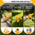 Electric Weed Wacker Cordless, Electric String Trimmer with 3 Types Blades & Removable Auxiliary Wheels, Brush Cutter & Grass Trimmer & Lawn Edger with for Garden Yard