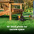 WORX 3 in 1 Cordless String Trimmer/Lawn Edger/Mini Mower, 13" Electric Weed Wacker with Command Feed, 20V Weed Eater with Brushless Motor, 4.0 Ah Battery & Charger Included, WG173
