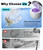 Modes for Aligners, Dentures, Mouth Guards, Night Guards, Toothbrush Heads