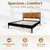 Howizz Lenia 3 Pieces Bedroom Set, Queen Bed Frame with 2 Matching Nightstands – Modern Wood Platform Bed Set, Chevron Diamond Design