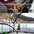 Battle Rope for Home Gym Workout - Extra Thick 2 Inch 30ft Heavy Weighted Training Exercise Ropes Fitness Equipment with Sleeve and Anchor Strap Kit for Crossfit Outdoor Working Out