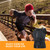 A+ Choice Sauna Vest Waist Trainer for Men - Mens Sauna Suit Large Sweat Belt Body Shaper for Gym Workout Exercise Faja Para Hombre Plus Size 3XL