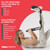 IdealStretch - Original Patented – Hamstring Stretcher, Lower Back Stretcher, Hip Stretcher, & Calf Stretcher - Pain Relief & Leg Stretcher