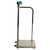 Brecknell MS140-300 Electronic Physician Scale
