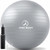 ProBody Pilates Exercise Ball - Multiple Sizes Gym Grade Balance Ball for Fitness, Workout, Pregnancy & Physical Therapy, Stability Yoga Ball Chair (Silver, 55cm)