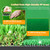 Roykaw Golf Putting Green - 5 x 10 Ft. Putting Mat, Professional Training Aid for Indoor & Outdoor, Green Mat w/ 3 Holes
