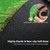 Roykaw Golf Putting Green - 5 x 10 Ft. Putting Mat, Professional Training Aid for Indoor & Outdoor, Green Mat w/ 3 Holes