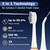 Tank, 3 Brush Heads & 1 Jet Tip For Daily Gum Care and Cleaning Teeth