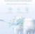 IPX7 Waterproof Teeth Cleaner for Home Travel, USB Rechargeable (Color : White)