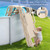 WDOT Pool Ladder Above Ground Swimming Safety A Frame Pool Ladder with Platform and Safety Barrier for 48-52 inches Pool